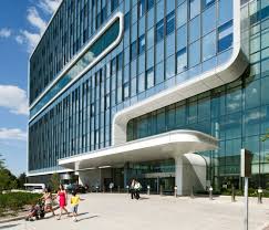 Pin By Adam Wilmot On Healthcare Translational Research Vascular Medical Research