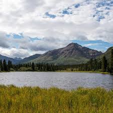 Maybe you would like to learn more about one of these? Campgrounds Denali National Park Preserve U S National Park Service