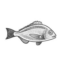 It is marinated with blended chilli paste and herbs before being wrapped in banana leaves. Fish Clipart Black And White Vector Images Over 490