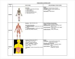 15 Free Body Diagram Templates Sample Example Format