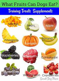 What Fruits Can My Dog Eat To Serve Or Not To Serve Foods Dogs Can Eat Fruits For Dogs Healthy Dog Food Recipes