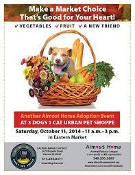 Maybe you would like to learn more about one of these? Almost Home Animals Almosthomemi Twitter