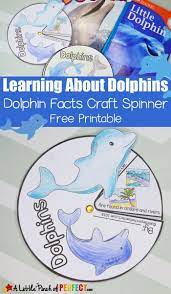 Dolphin Printable Coloring Pages Best Of Learning About Dolphins Activities For Kids And F Dolphin Facts Kids Worksheets Printables Science Activities For Kids