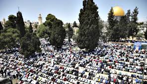 Subhanallah doa muslim palestina,suriah,dhuafa untuk indonesia agar terhindar dari virus corona. Z 5shobugequ3m