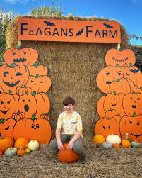 Feagans Farm PYO Pumpkin Patch