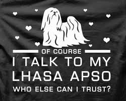 Pin By Luann Tokos On I Love Lhasa Apso S Lhasa Lhasa Apso Dog Quotes