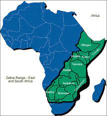 However, they usually graze together even though they do not interbreed. Jungle Maps Map Of Africa Where Zebras Live