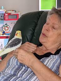 Angry bird Elayaah K.