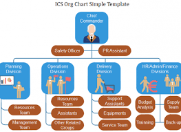 Cia Org Chart Example