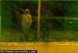 Maybe you would like to learn more about one of these? 10 Gambar Hantu Yang Paling Popular Pada Abad 21