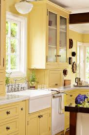 61 Luxury Creative Color Ideas For Your Next Kitchen Reno House Design Kitchen French Country Kitchen Timeless Kitchen Cabinets