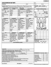 Skilled Nursing Visit Note Form Fill Online Printable