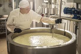 Cheesemaking As Careerpath - Leon The Milkman