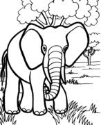 Students can either color the clipart on the page or illustrate one of the safety rules on the blank page. Free Printable Coloring Pages For Kids Kid Safe