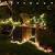 Backyard Tiki Bar Ideas