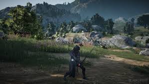 This time we take a look at black desert online, probably the most anticipated mmorpg nowadays. Bdo Kr Players Comments On The New Enhanced Skills For Ranger Valkyrie Maehwa Musa Inven Global