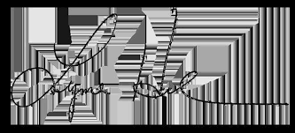 2022-23 Volunteer Report by Alpha Chi Omega Fraternity, Inc.