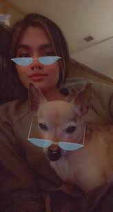 Managing collapsing trachea in dogs?