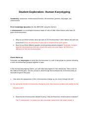 It is your definitely own become old to put on an act reviewing habit. Human Karyotping Gizmo Worksheet Name Date Student Exploration Human Karyotyping Directions Follow The Instructions To Go Through The Simulation Course Hero