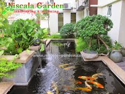 Step 1, beli semua perlengkapan yang dibutuhkan. Galeri Foto Kolam Ikan Koi Minimalis