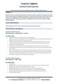 order processor resume samples qwikresume