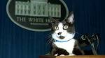 10 Cats Who Made History - HowStuffWorks