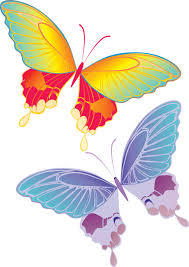 View All Images At صور فراشات Folder Butterfly Clip Art Butterflies Vector Art