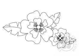 Background flowers with linear field with text. Exotic Flower Coloring Page Flowers Templates