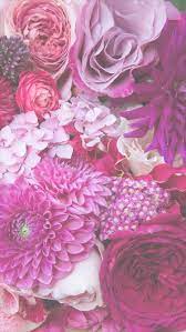 Which is the best flower wallpaper in hd? Flowers Phone Wallpapers Top Free Flowers Phone Backgrounds Wallpaperaccess