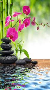 Corey Morehouse Blog Your Super Powered Wp Engine Blog Flowers Orchids Beautiful Flowers