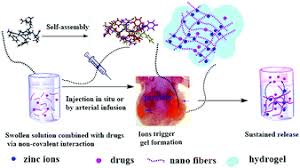1 a large body of literature supports a protective role for zinc with regard to prostate cancer progression. Zinc Ion Mediated Self Assembly Of Forky Peptides For Prostate Cancer Specific Drug Delivery Chemical Communications Rsc Publishing