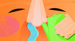 Should You Use A Neti Pot Or Another Type Of Nasal Irrigation Unc Health Talk