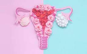 If there is a follicle greater than 10 mm in diameter, the scan. How Does Pcos Affect Your Fertility Health And Quality Of Life