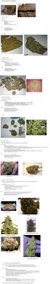 Picture Guide To Weed Amounts And Quality X Post From R