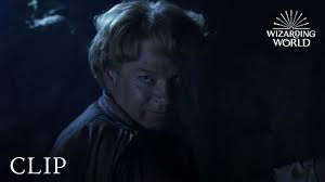 Gilderoy Lockhart Loses His Memory Harry Potter And The Chamber Of Secrets Youtube
