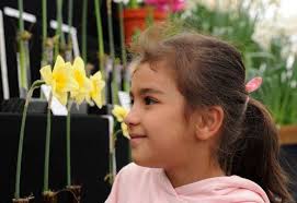 Bulb giveaway gave novices the chance to take