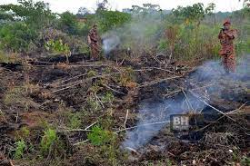 Pembakaran terbuka yang berpunca daripada aktiviti pembakaran ladang pertanian dan hutan menyebabkan berlakunya jerebu. Kerajaan Fokus Pembakaran Terbuka Atasi Jerebu