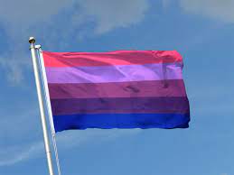 Bandeira do orgulho trans.png 600 × 400; Transgender Flagge 90 X 150 Cm Flaggenplatz Online Shop