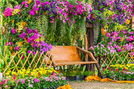 Check spelling or type a new query. Les Plantes Qui Fleurissent Toute L Annee Pour Son Jardin