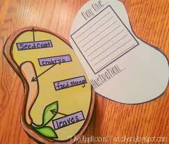 Beena Rahim (beenarhm)