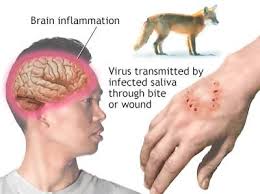 Ape teacher of the year award winners by state