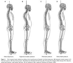 Use this daily exercise routine to relieve pain and build hip strength and flexibility. 6 Tips To Eliminate Back Pain With Standing And Walking Thrive Physical Therapy In Richmond