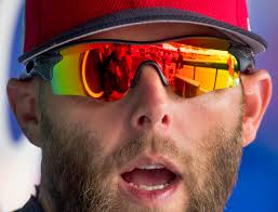 Sox spring training in detail