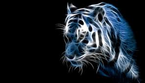 Maybe you would like to learn more about one of these? Cool Wallpaper Images Important Wallpapers