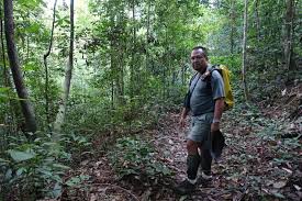 This spectacular rainforest took 60 million years to create. Earth Lodge Malaysia S Hidden Gem Experience Travel Group Blog