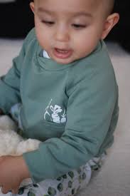 Easter Sweater with Carrots for Children and Babies, Carrots in Pocket, Bunny Ears, Happy Easter, Easter Outfit Organic Cotton, Children's Sweater Eas