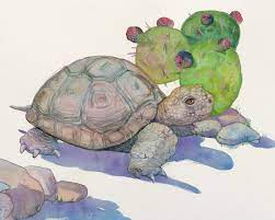 Watercolor Desert Tortoise Painting Tortoise Art Print Etsy Desert Painting Cactus Art Turtle Art