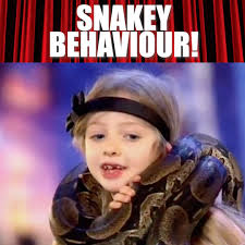 Thomas Swoboda (@thomas.swoboda.2025) • Facebook