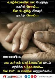 9 Revenge Ideas Tamil Motivational Quotes Photo Album Quote Image Quotes