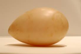 Quand on parle ponte des poules, la notion de qualité pour un éleveur familial, est un critère de choix important. Preparer Les Oeufs Pour L Incubation Poules Et Cie